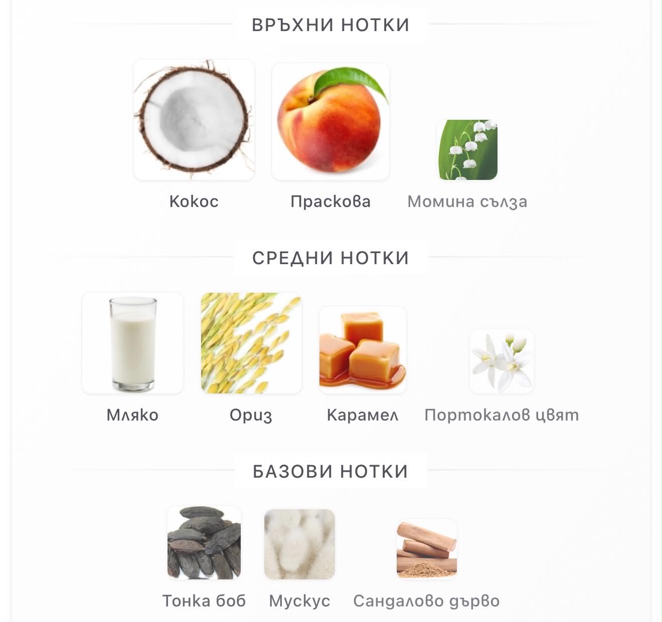 Arabiyat Sugar Matcha Matcha Latte EDP 100 мл. – оригинален парфюм, продуктова снимка 3