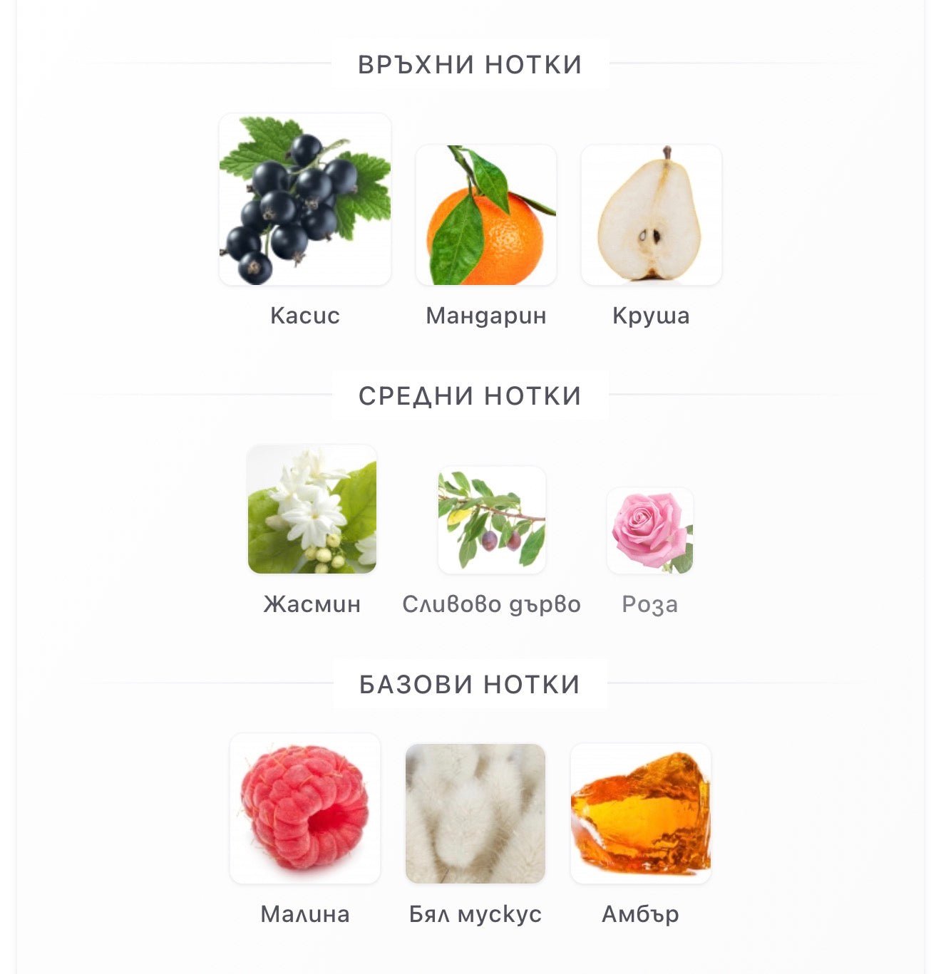 Khadlaj Pink Musk парфюмно масло 20 мл. – оригинален парфюм, продуктова снимка 5