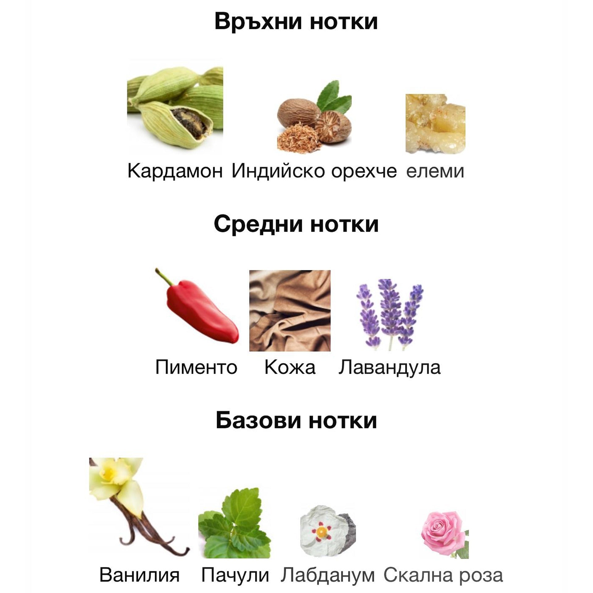 Afnan 9pm Elixir EDP 100мл. - оригинален арабски парфюм | Aroma Viva BG