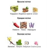 Afnan 9pm Elixir EDP 100мл. – Afnan, унисекс аромат, Aroma Viva