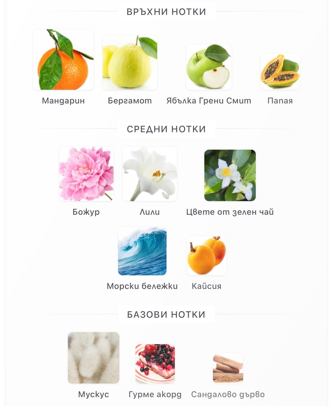 Armaf Bon Bon EDP 100 мл. – оригинален парфюм, продуктова снимка 4