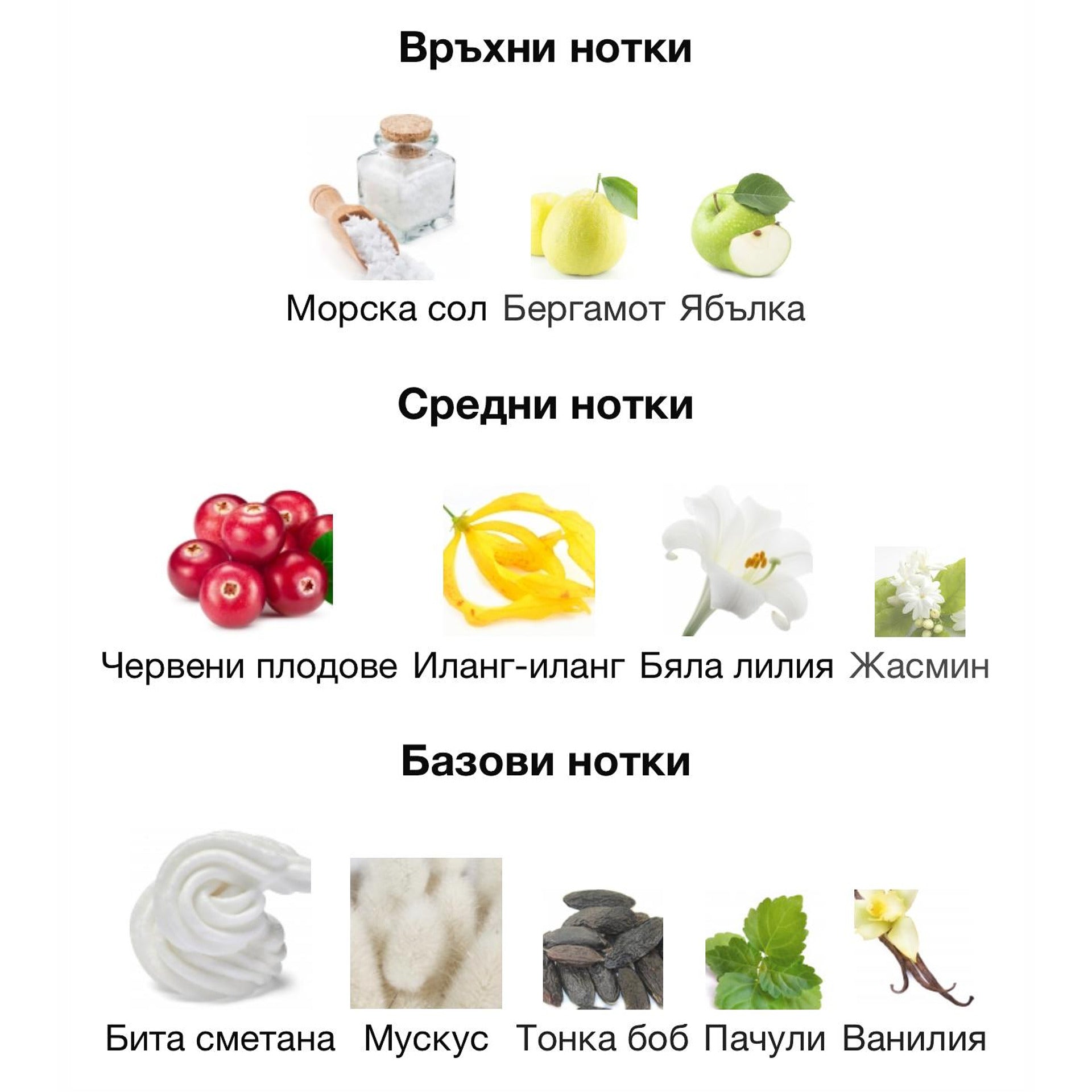 Armaf Prexieux IV ExDP 55мл. – Armaf, унисекс аромат, Aroma Viva