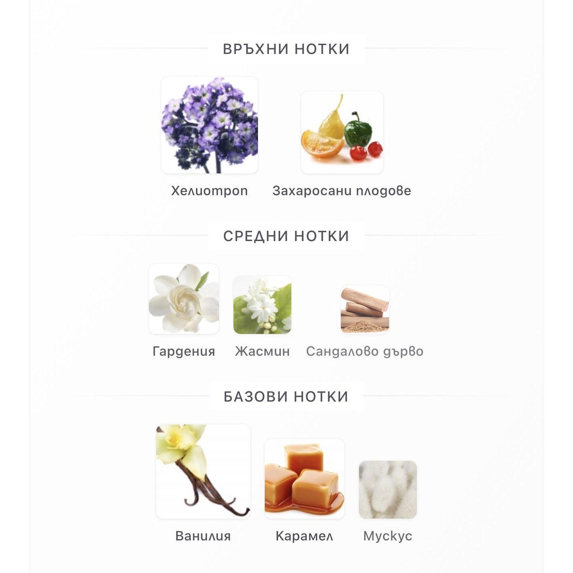 Fragrance World Bouquet of Euphoria EDP 100ml – Fragrance World, дамски аромат, Aroma Viva