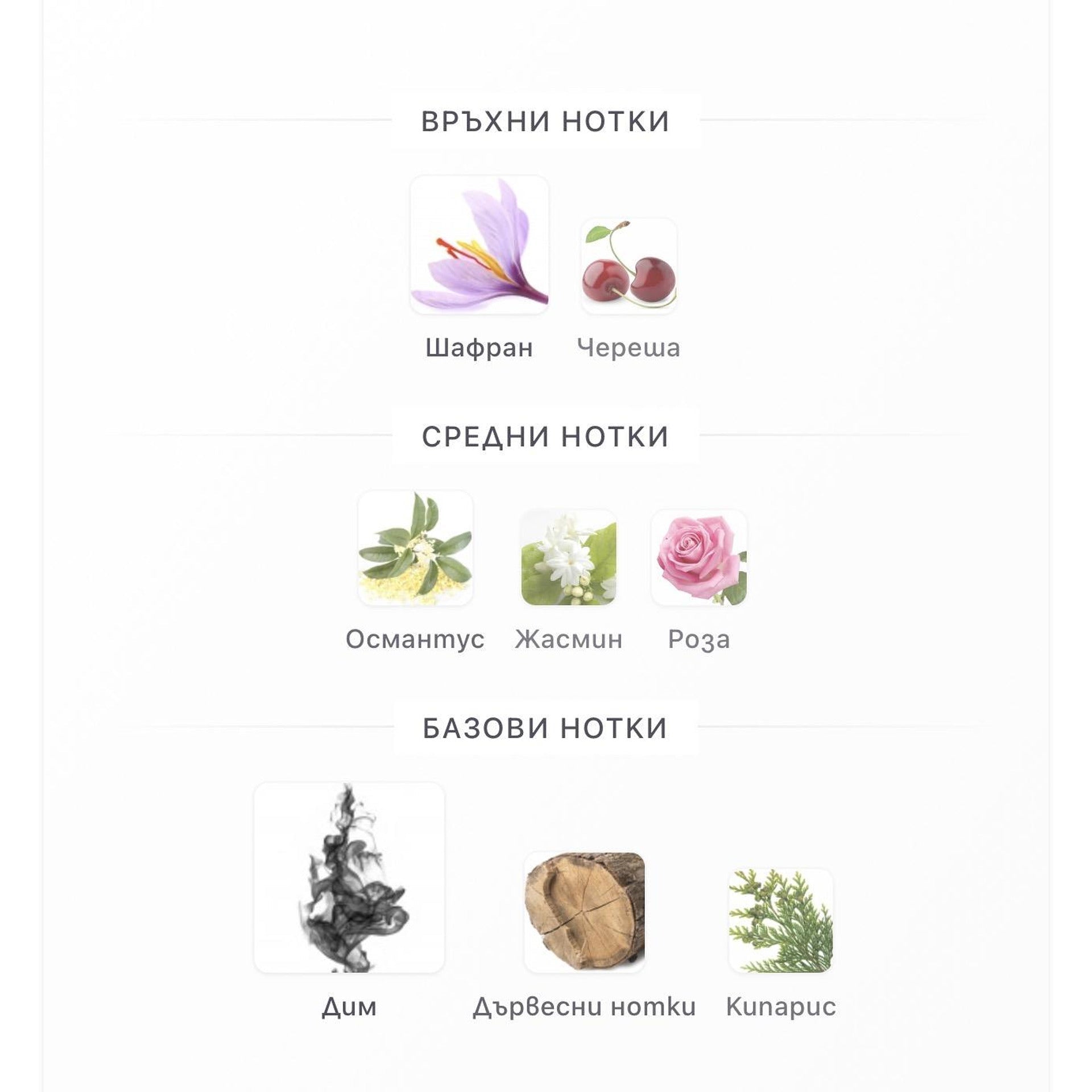 Fragrance World Cherry Incense EDP 80ml – оригинален парфюм, продуктова снимка 3