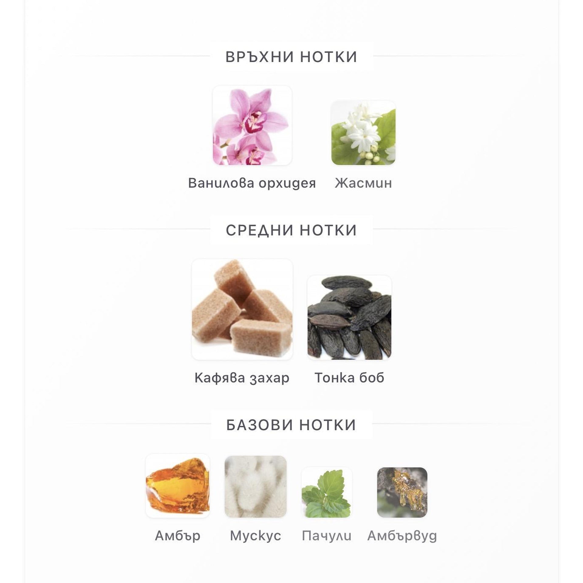 Fragrance World Elysia Vanilla Sugar EDP 100ml – Fragrance World, дамски аромат, Aroma Viva