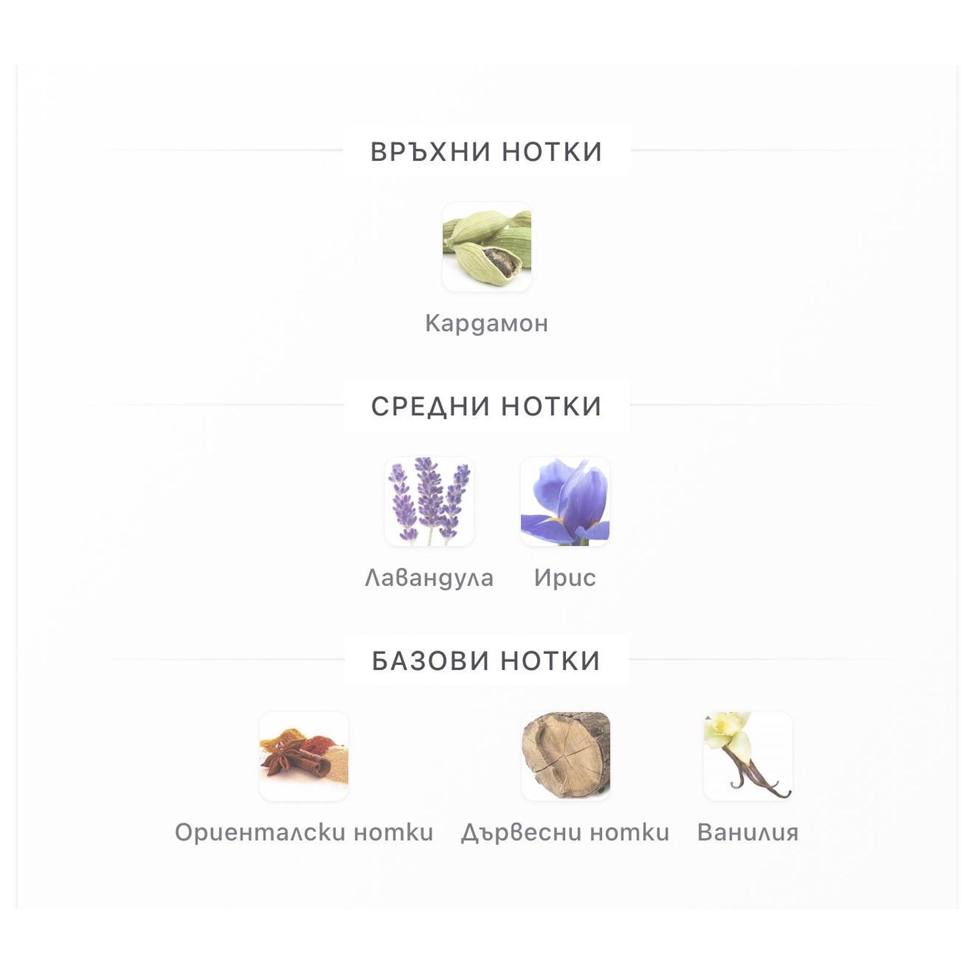 Fragrance World Urban Man Le Parfum90ml – Fragrance World, мъжки аромат, Aroma Viva