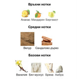 French Avenue Meringue EDP 100мл. – French Avenue, дамски аромат, вдъхновен от Crème de Cuir, Aroma Viva