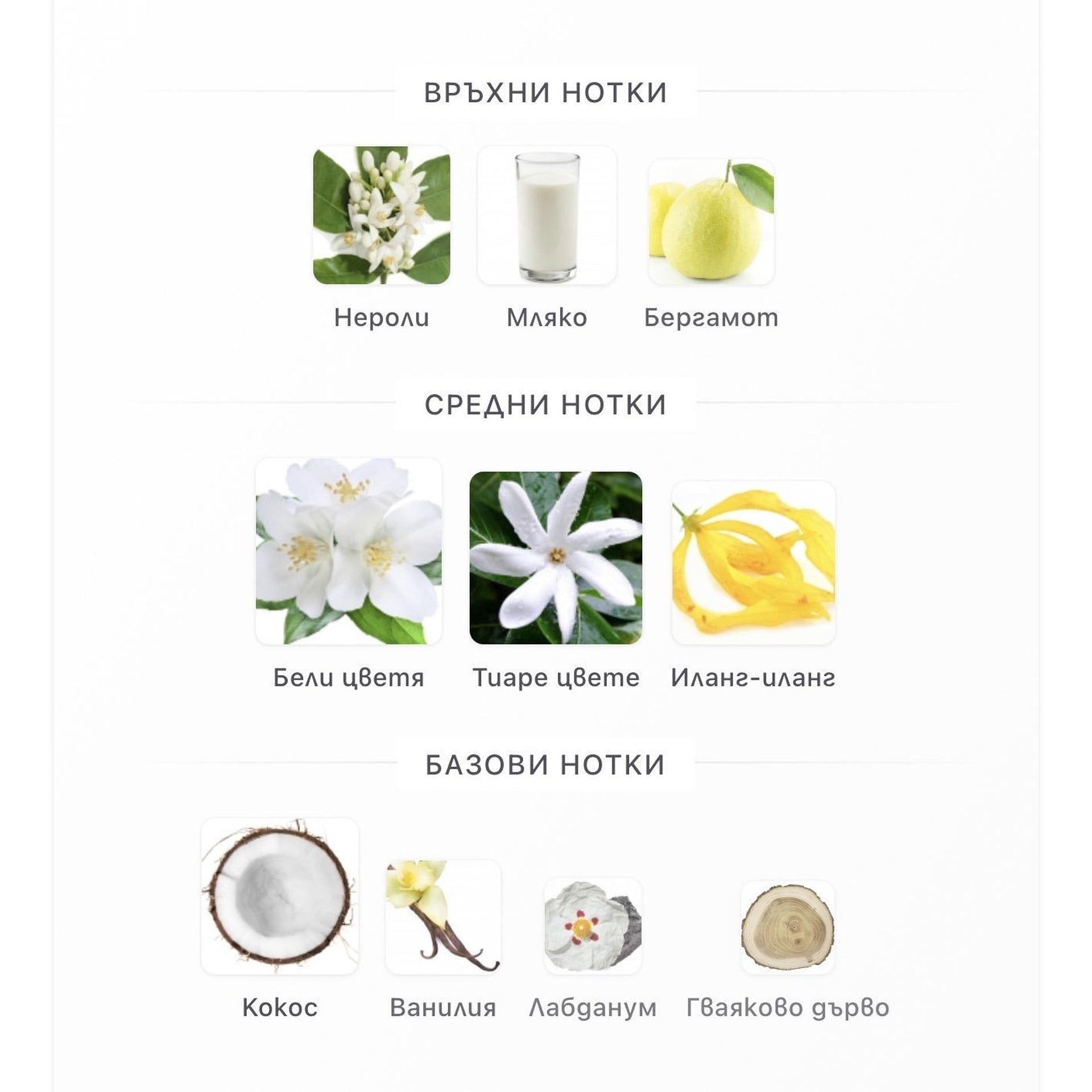 French Avenue Veneno Bianco EDP 100ml – оригинален парфюм, продуктова снимка 5
