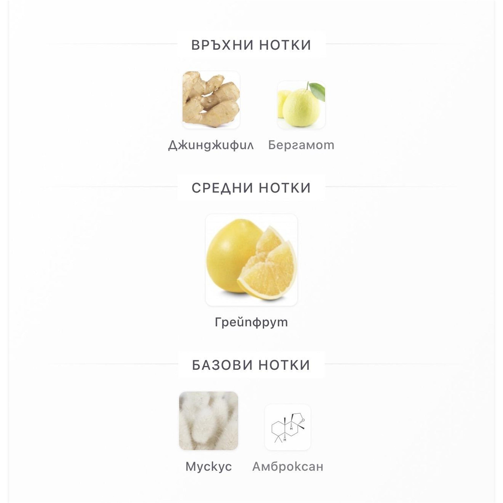 Khadlaj Island Dreams ExDP 100 мл. – оригинален парфюм, продуктова снимка 4