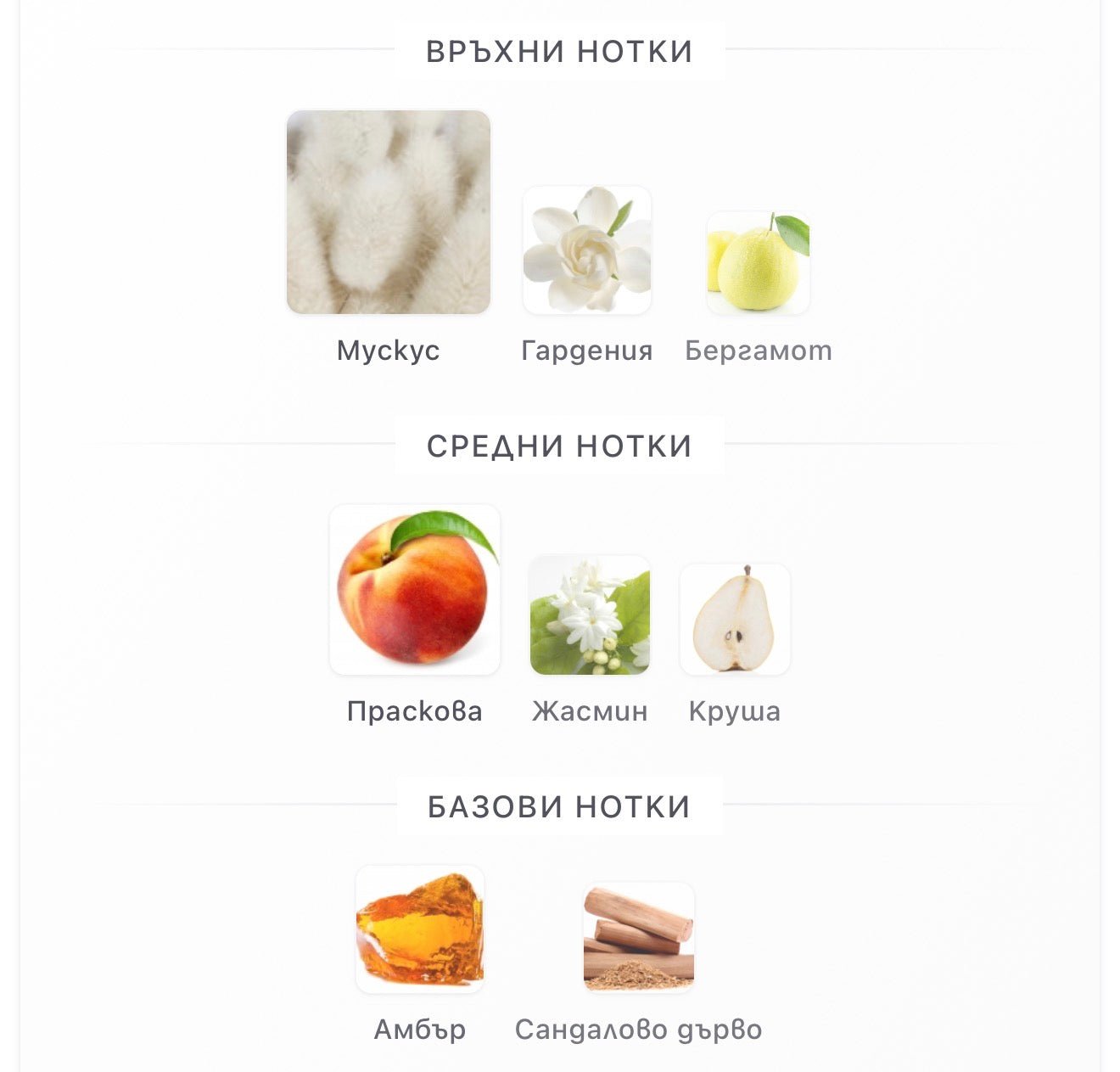 Khadlaj Shiyaaka Gold EDP 100 мл. – оригинален парфюм, продуктова снимка 3