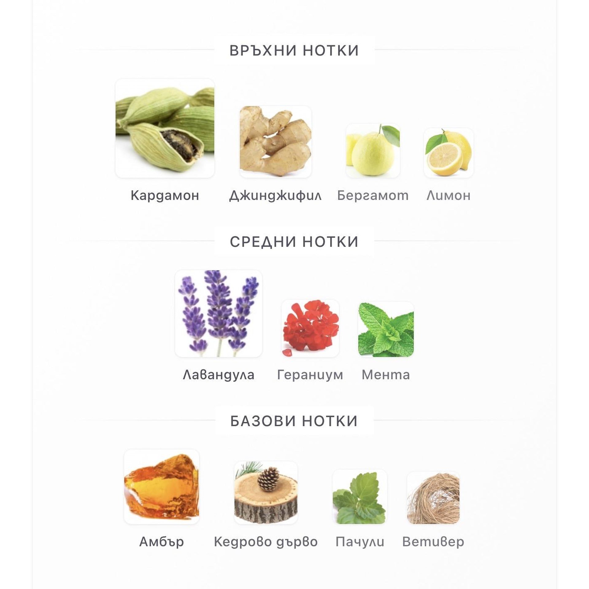 Lattafa Al Nashama Caprice EDP 100мл. – Lattafa, мъжки аромат, Aroma Viva