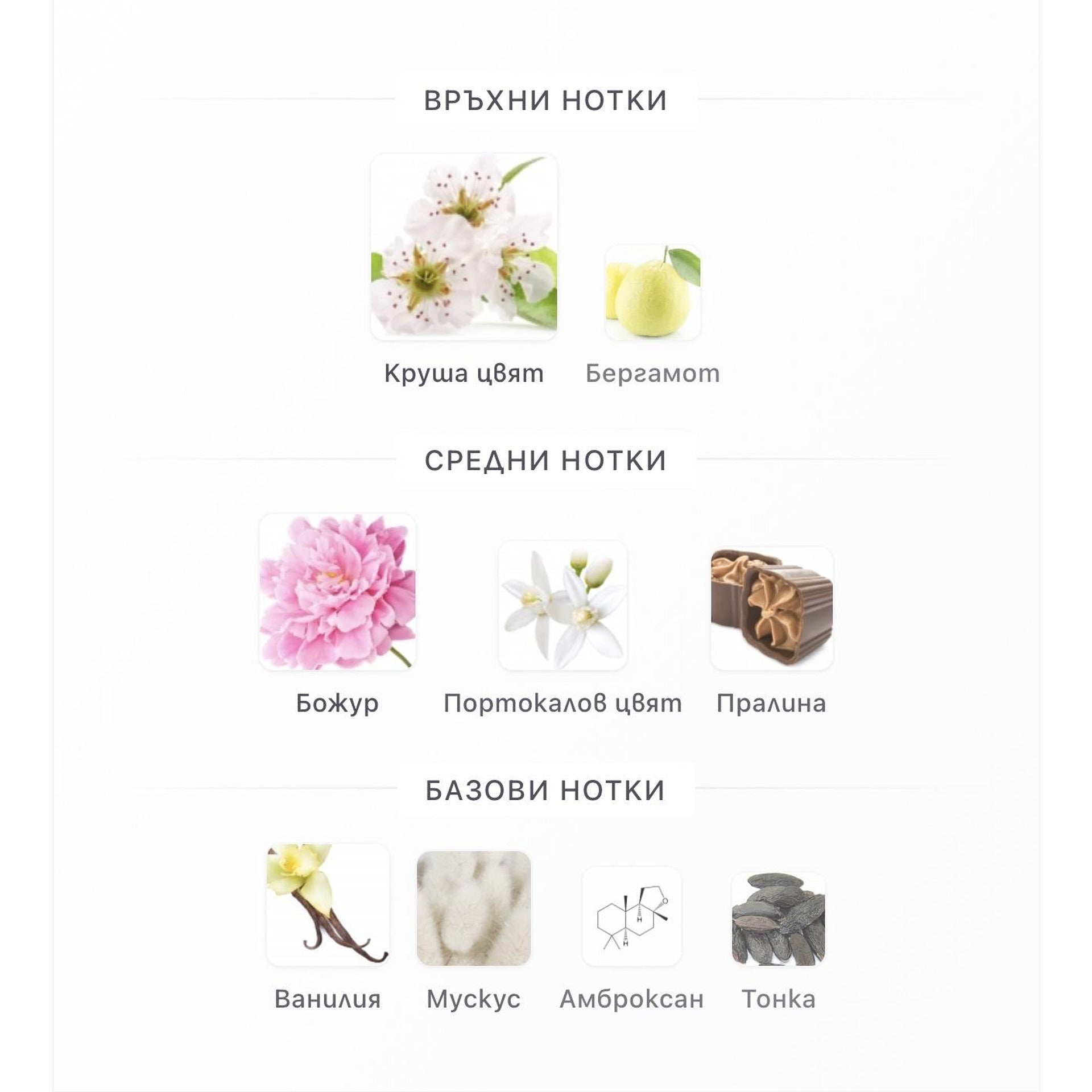 Lattafa Angham Second Song EDP 100ml – оригинален парфюм, продуктова снимка 3