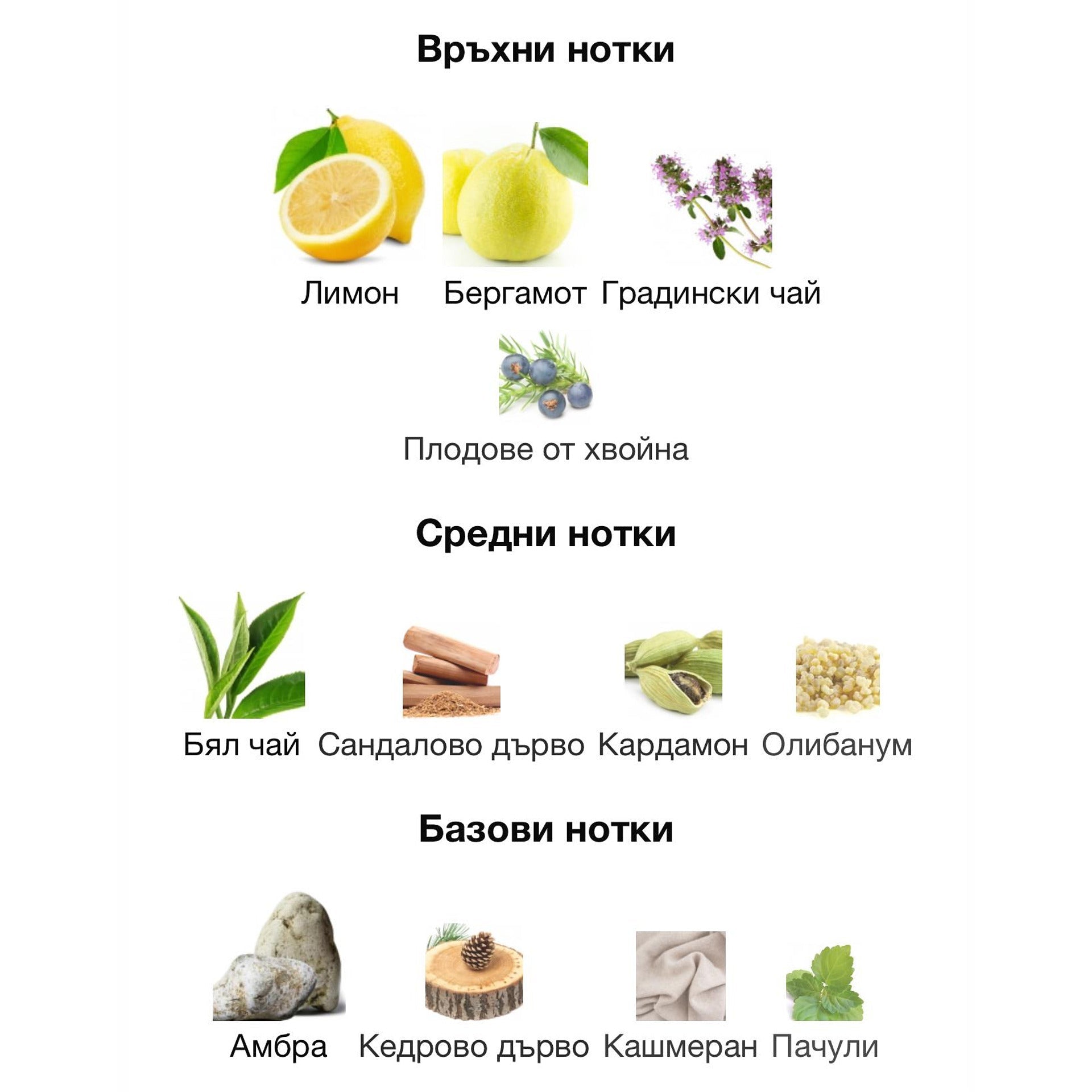 Lattafa Emeer EDP 100 мл. – оригинален парфюм, продуктова снимка 3