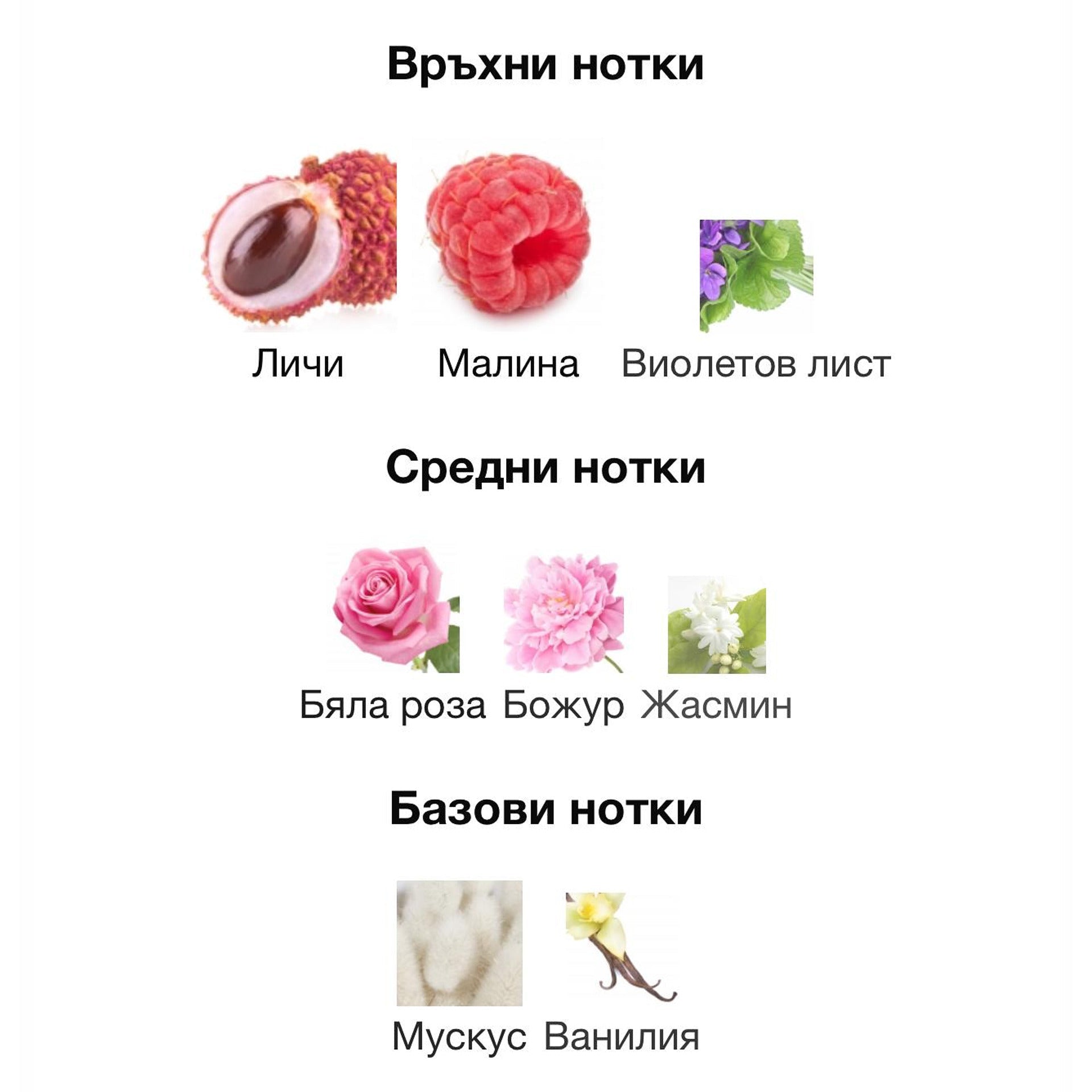 Lattafa Mayar EDP 100мл. - оригинален арабски парфюм | Aroma Viva BG