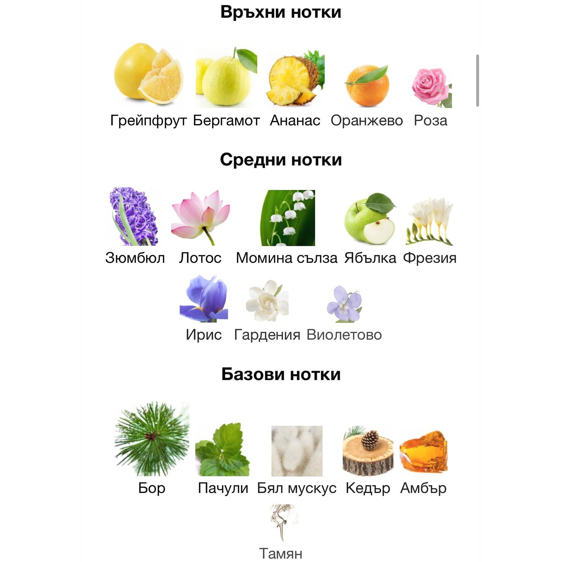 Maison Alhambra Zeno EDP 100 мл. – оригинален парфюм, продуктова снимка 3