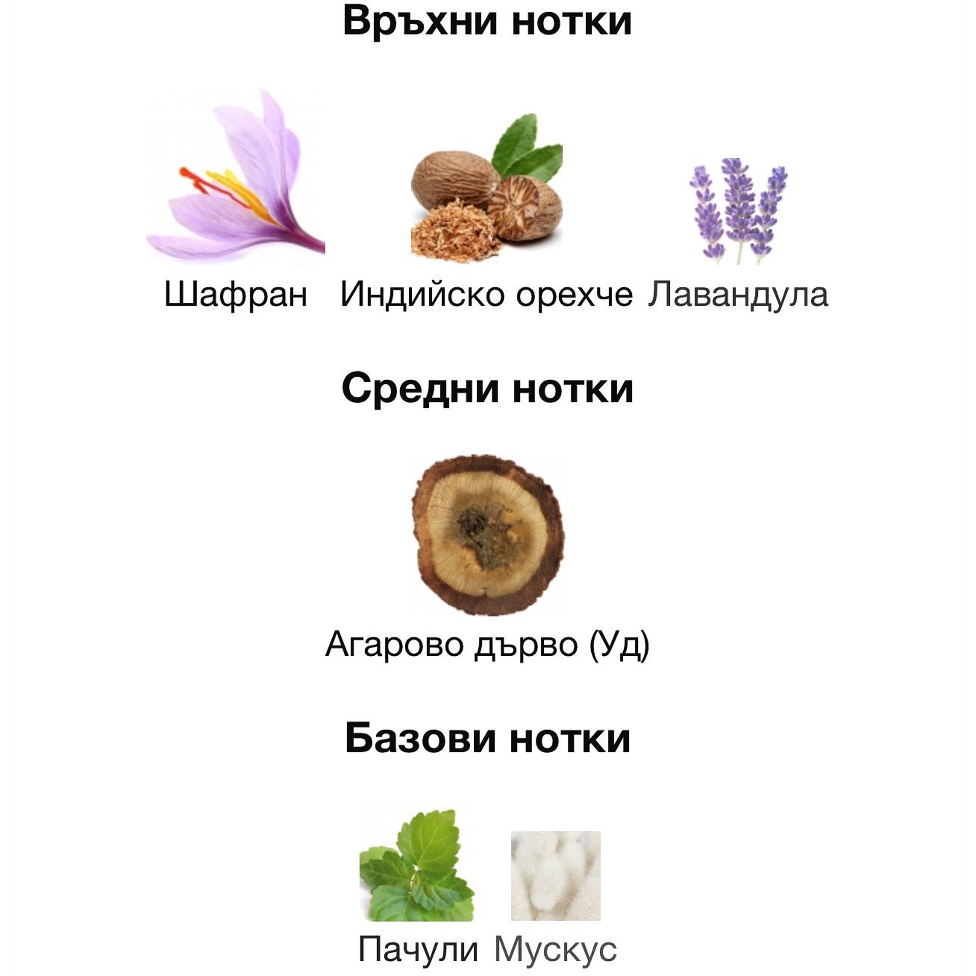 Minister of Oud Greatness ExDP 100 мл. – оригинален парфюм, продуктова снимка 3