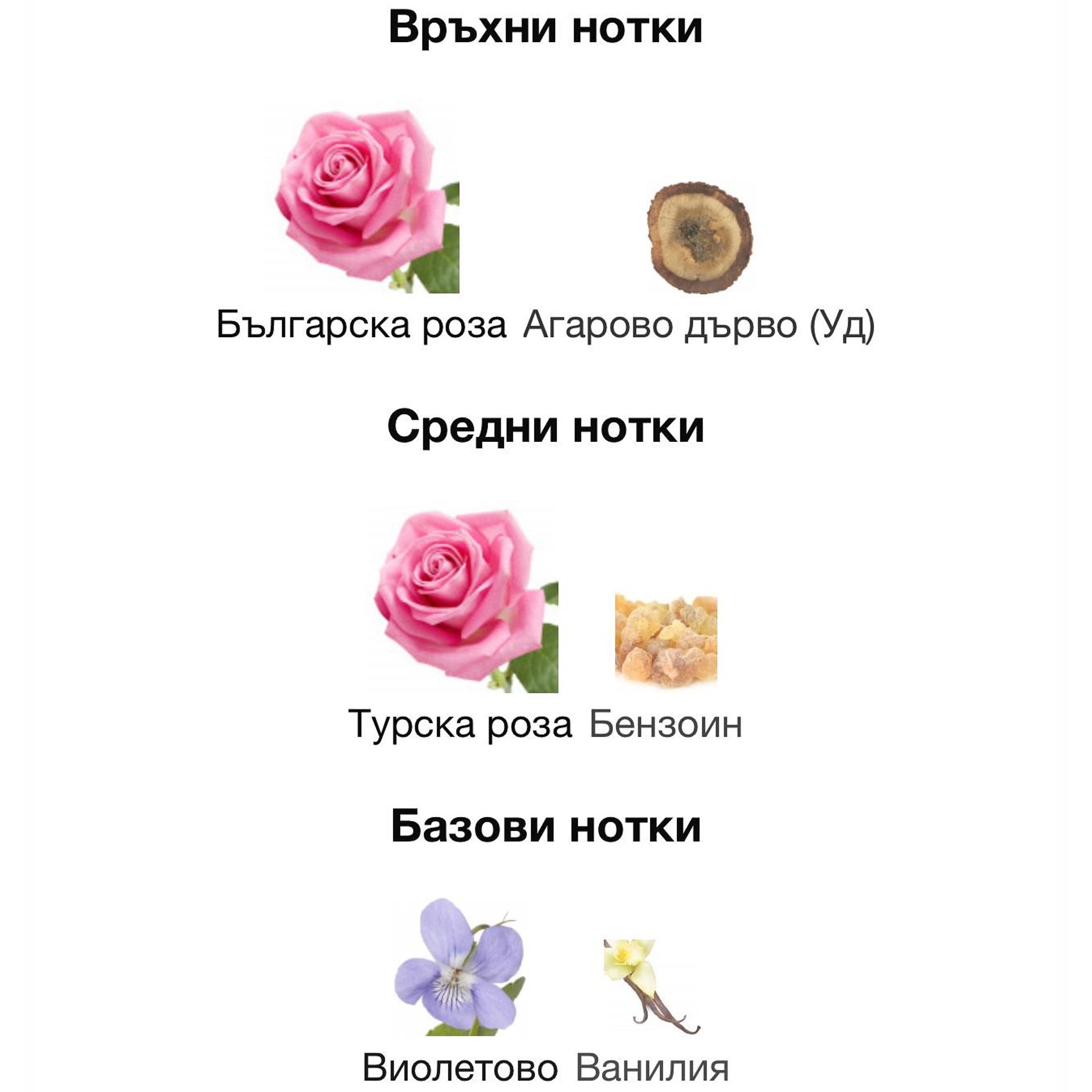 Minister of Oud - Oud Satin ExDP 100 мл. – оригинален парфюм, продуктова снимка 3
