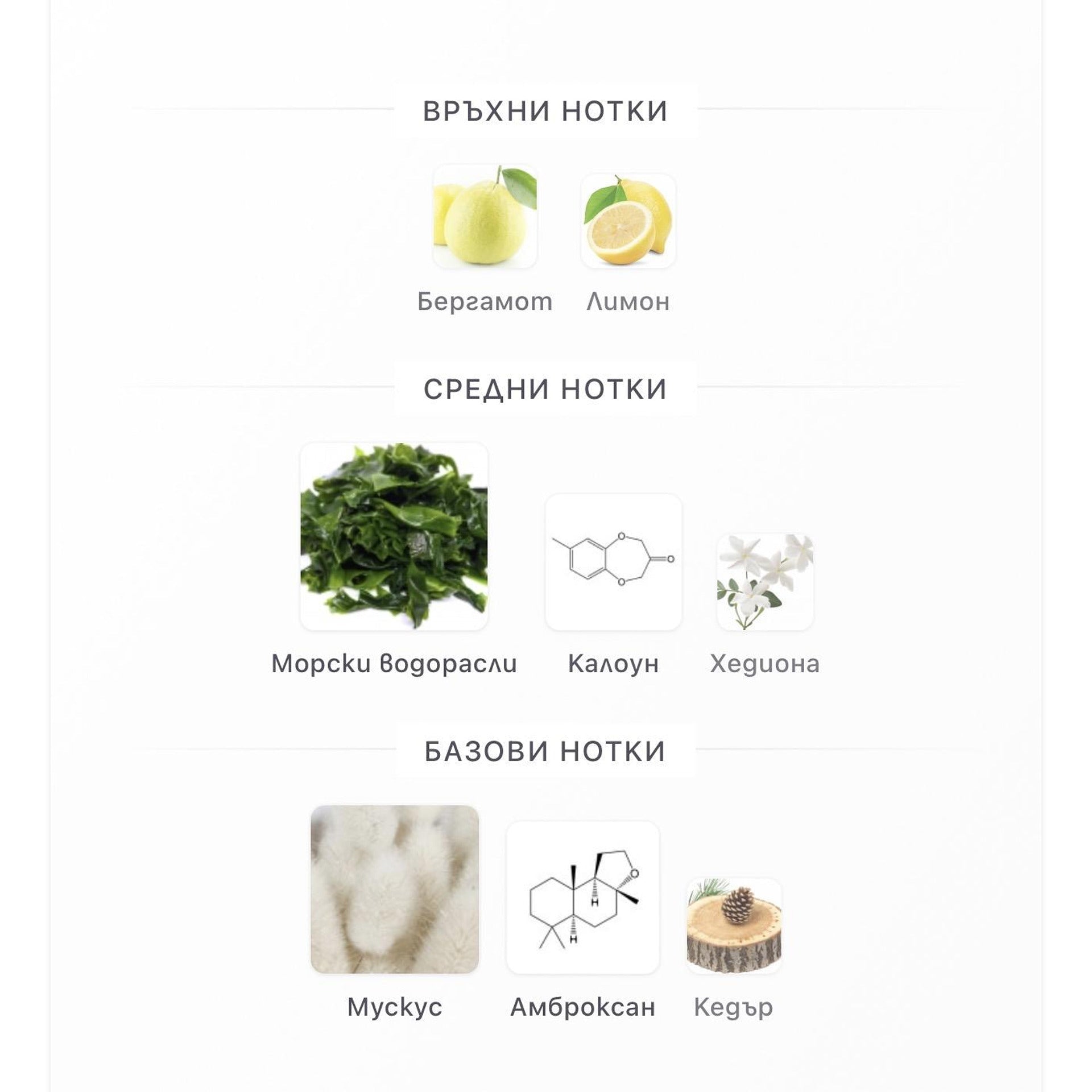 Orto Parisi Megamare ExDP 50 мл. – оригинален парфюм, продуктова снимка 3