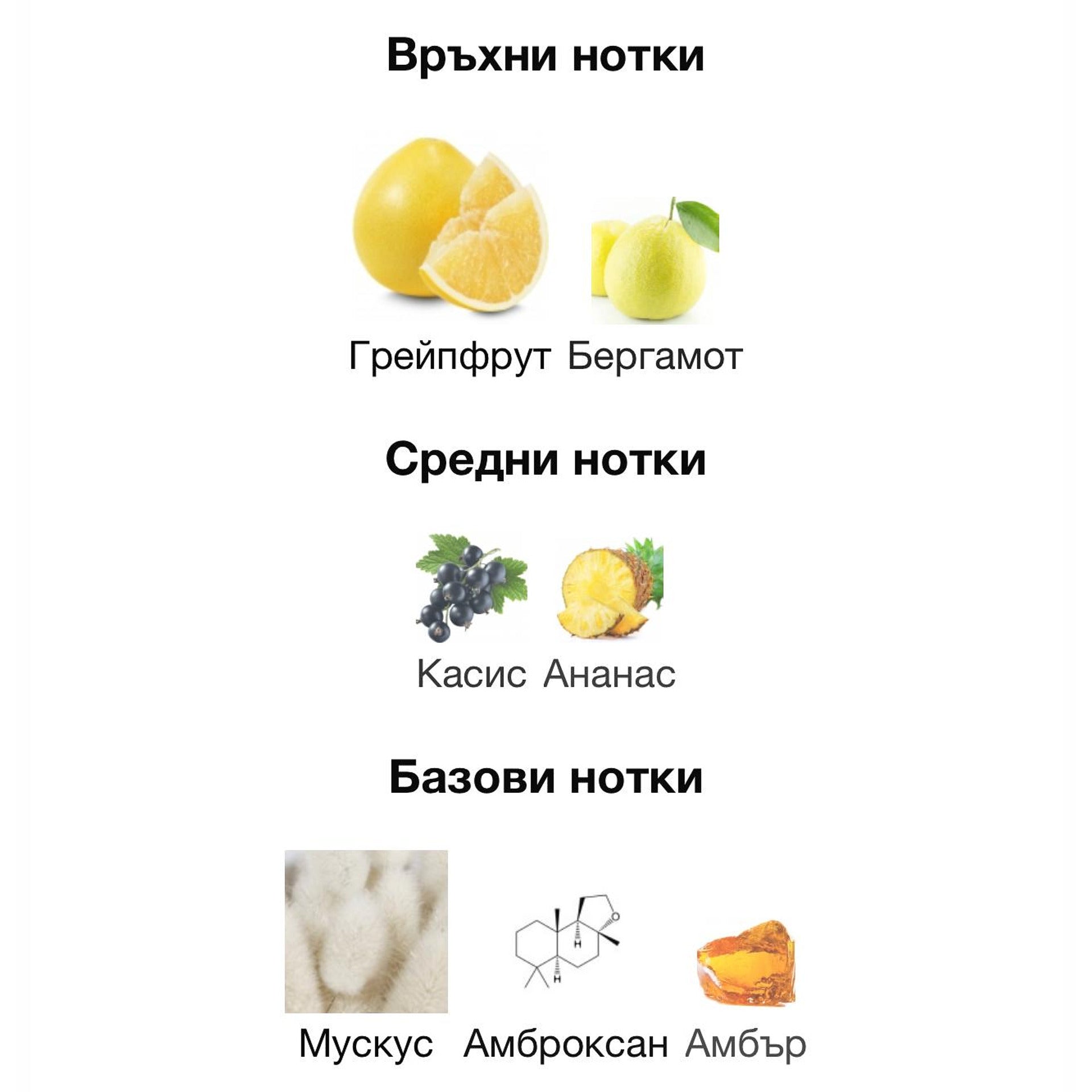 Orto Parisi Risvelium ExDP 50мл. – Orto Parisi, Нишови парфюми, Aroma Viva
