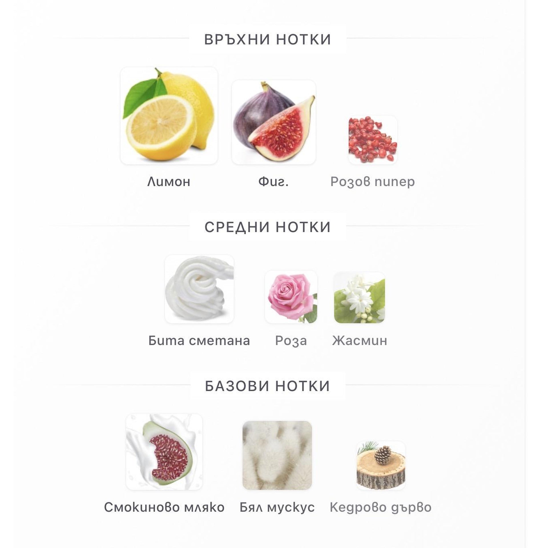 Paris Corner Perseviron Fig Hug EDP 100мл. – PARIS CORNER, унисекс аромат, Aroma Viva