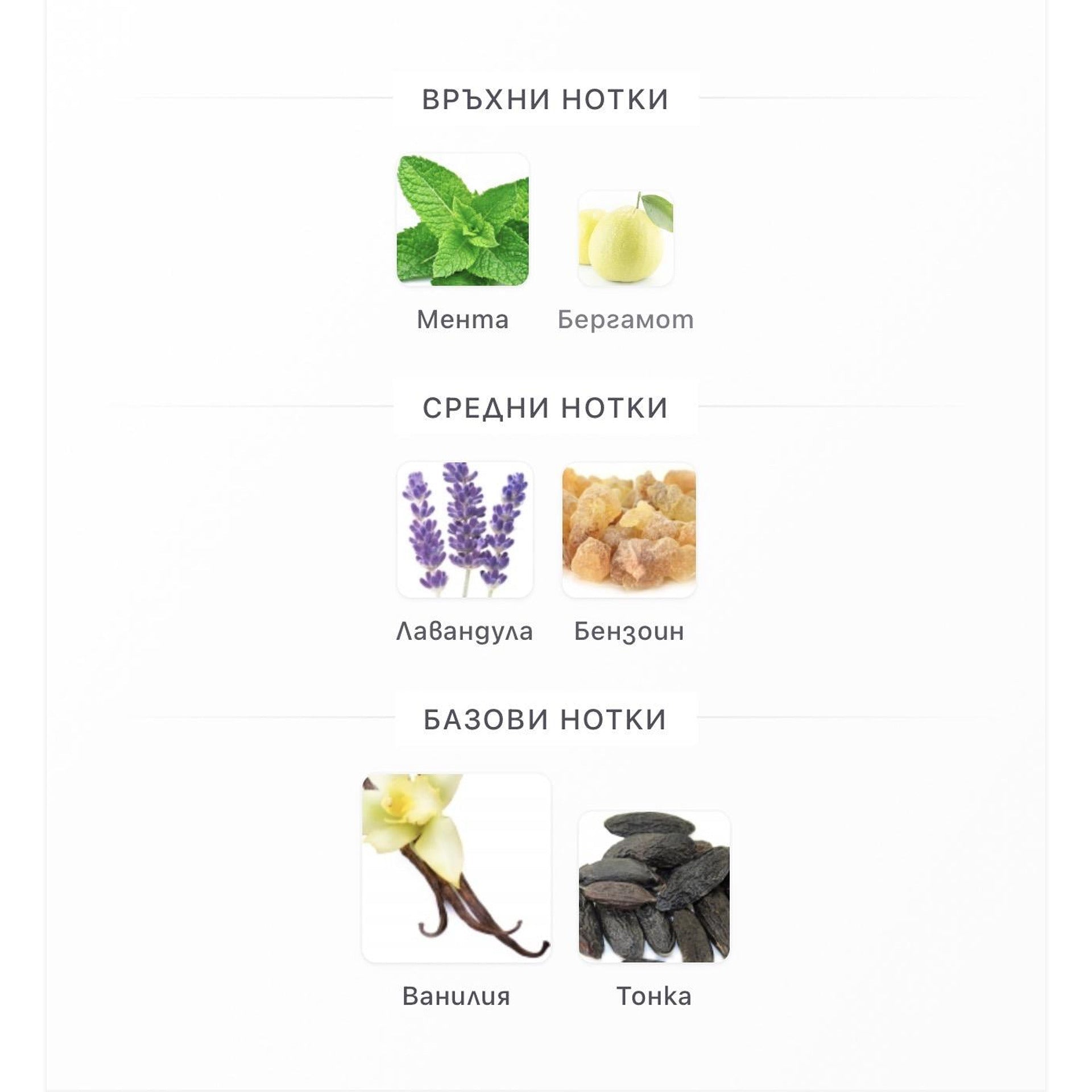 Rayhaan Elixir EDP 100ml – оригинален парфюм, продуктова снимка 6