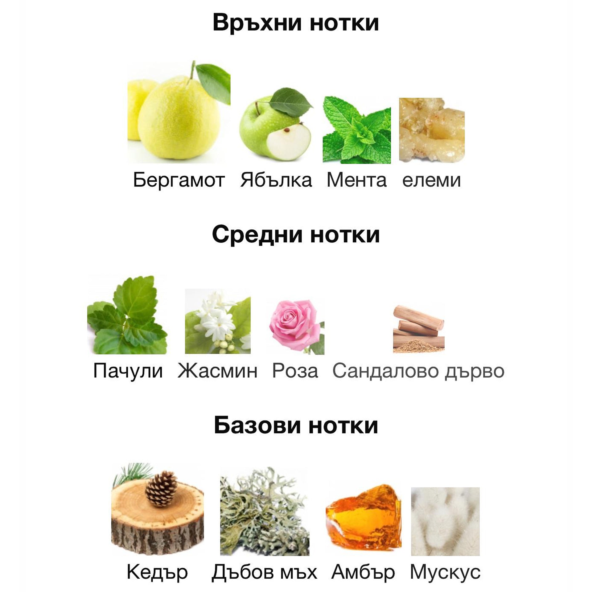 Rayhaan Imperia EDP 100мл. – Rayhaan, мъжки аромат, Aroma Viva