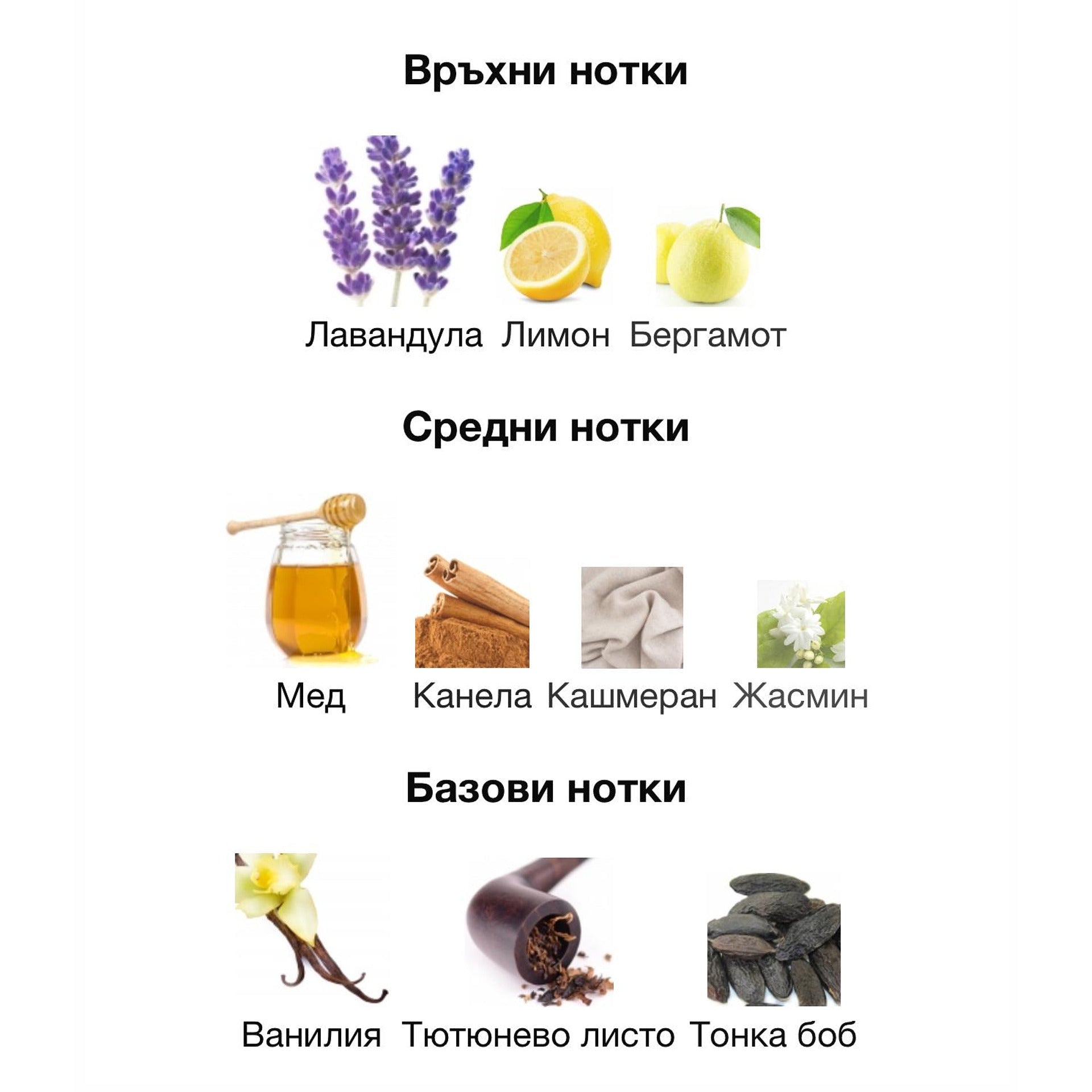 Rayhaan Italia EDP 100 мл. – оригинален парфюм, продуктова снимка 5