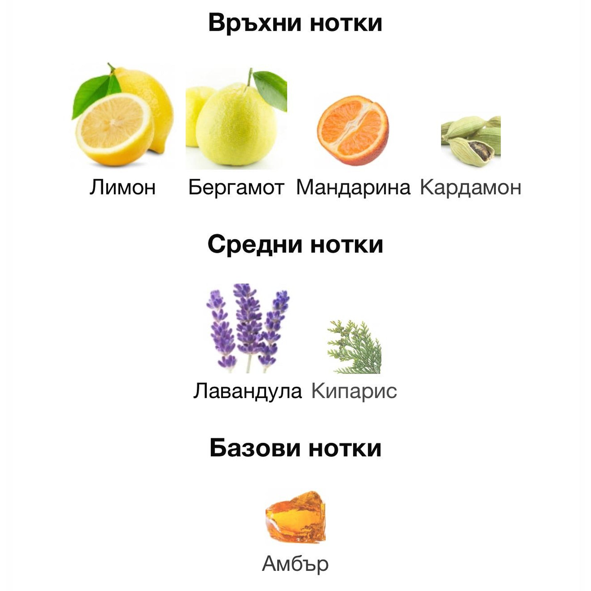 Rayhaan Pacific EDP 100мл. – Rayhaan, мъжки аромат, Aroma Viva