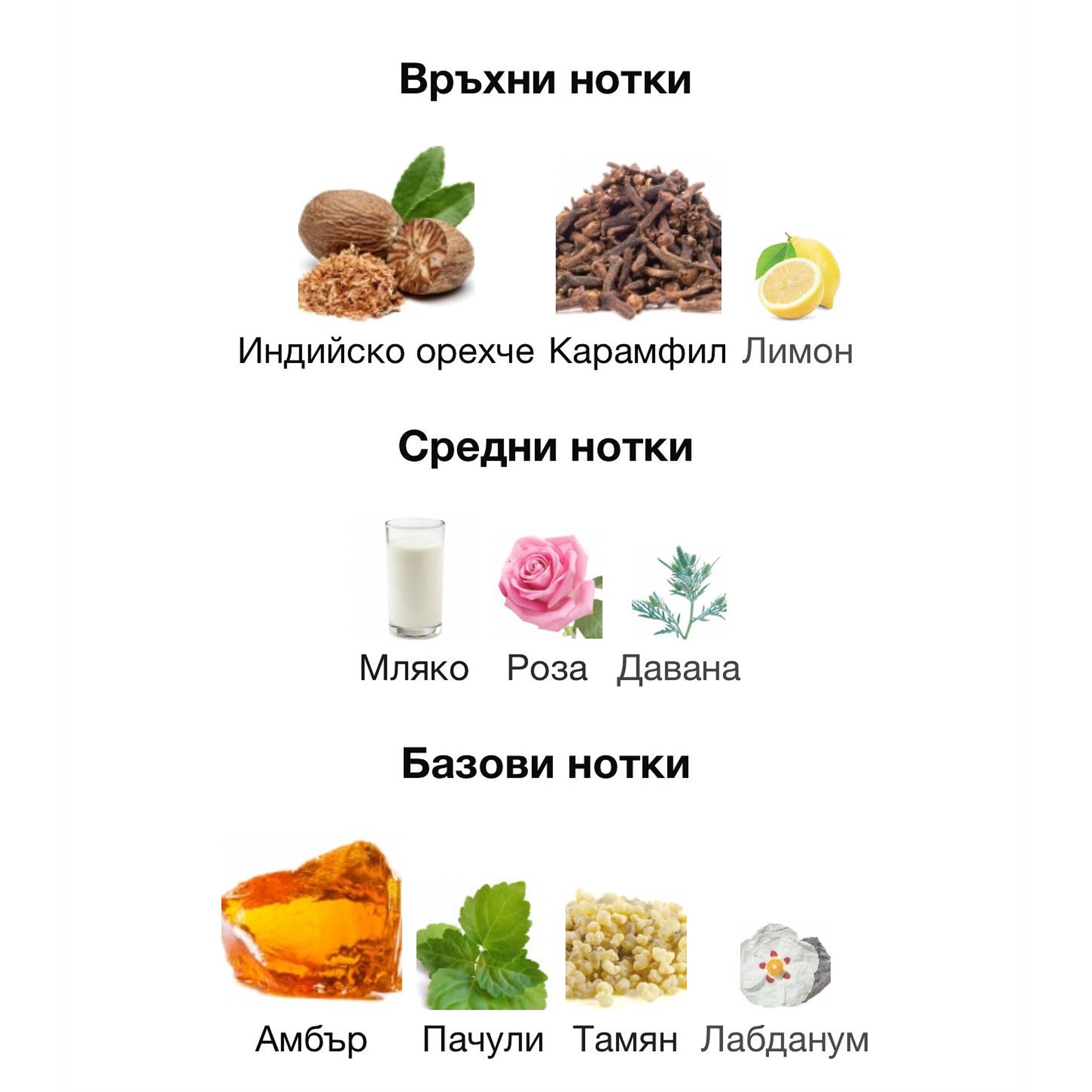 Rayhaan Tiger Cal EDP 100мл. – Rayhaan, мъжки аромат, Aroma Viva