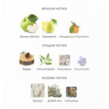 French Avenue Aether ExDP 100ml – оригинален парфюм, продуктова снимка 3