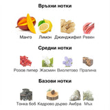 French Avenue Vulcan Feu EDP 100мл. – French Avenue, унисекс аромат, Aroma Viva