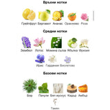 Maison Alhambra Zeno EDP 100 мл. – оригинален парфюм, продуктова снимка 3