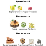 Ministry of Oud - Oud Royal EDP 100 мл. – оригинален парфюм, продуктова снимка 3