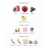 Paris Corner Khair Fusion EDP 100 мл. – оригинален парфюм, продуктова снимка 5